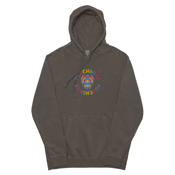 Porchboyz Porchgirlz Embroidered Trademark Unisex pigment-dyed hoodie